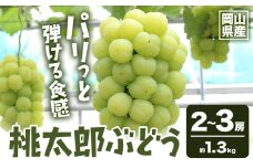 【2025年先行予約】岡山県産 桃太郎ぶどう 約1.3kg 2-3房《2025年9月上旬‐10月中旬頃出荷》晴れの国 おかやま館(フルーツランド岡山) 岡山県 浅口市 フルーツ 果物 青果 旬 葡萄 ぶどう【配送不可地域あり】（離島） st-p