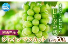 【2025年先行予約】岡山県産 シャインマスカット  約500g ( 1房 )  クール便 晴れの国 おかやま館(フルーツランド岡山) 《2025年8月下旬-10月中旬頃出荷》岡山県 浅口市【配送不可地域あり】（離島） st-p