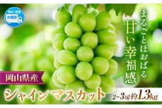 【2025年先行予約】岡山県産 シャインマスカット  約1.3kg ( 2-3房 )  クール便 晴れの国 おかやま館(フルーツランド岡山) 《2025年8月下旬-10月中旬頃出荷》岡山県 浅口市【配送不可地域あり】（離島） st-p