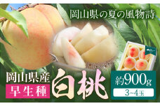 【令和7年度先行予約】岡山県産 白桃 （早生種）内容量 約900g （3～4玉） クール便 晴れの国 おかやま館(漂流岡山) 《2025年7月上旬-8月中旬頃出荷》岡山県 浅口市 白桃 桃【配送不可地域あり】(離島) st-p