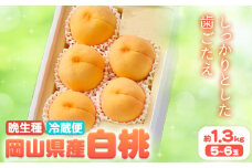 【2025年先行予約】岡山県産 白桃 晩生種 約 1.3 kg 5-6玉 晴れの国 おかやま館 漂流岡山 《2025年7月下旬-9月下旬頃出荷》岡山県 浅口市 フルーツ モモ 果物 青果 旬【配送不可地域あり】（離島） st-p