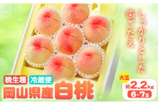 【2025年先行予約】岡山県産 白桃 晩生種 大玉 約2.2kg 6-7玉 晴れの国 おかやま館 漂流岡山《2025年7月下旬-9月下旬頃出荷》岡山県 浅口市 フルーツ モモ 果物 青果 旬【配送不可地域あり】（離島） st-p
