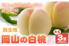  【令和7年度先行予約】 岡山の白桃 晩生種 大玉3玉 約900g 晴れの国 おかやま館(つむぐ株式会社) 《2025年7月下旬-9月中旬頃出荷》岡山県 浅口市 フルーツ モモ 果物 青果 旬【配送不可地域あり】（離島） st-p