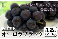 【2025年先行予約】ご家庭用 岡山県産 オーロラブラック 約1.2kg 2-3房 晴れの国 おかやま館(つむぐ株式会社)《2025年8月下旬-10月中旬頃出荷》岡山県 浅口市 マスカット ぶどう 葡萄 果物 フルーツ 送料無料【配送不可地域あり】（離島） st-p