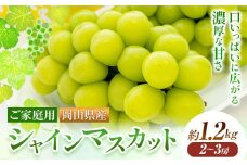【2025年先行予約】ご家庭用 岡山県産 シャインマスカット 約1.2kg ( 2～3房 ) クール便 晴れの国 おかやま館 (つむぐ株式会社) 《2025年9月上旬-11月中旬頃出荷》岡山県 浅口市 マスカット ぶどう 葡萄 果物 フルーツ 送料無料【配送不可地域あり】 st-p