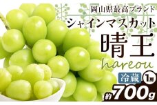 ぶどう [2025年先行予約] シャインマスカット 晴王 1房約700g《2025年9月中旬-11月上旬頃出荷》ハレノスイーツ 岡山中央卸売市場店 マスカット 送料無料 岡山県 浅口市 フルーツ 果物 贈り物 ギフト 国産 【配送不可地域あり】 st-p
