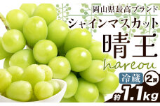ぶどう [2025年先行予約] シャインマスカット 晴王 約1.1kg (2房)《2025年9月中旬-11月上旬頃出荷》ハレノスイーツ 岡山中央卸売市場店 マスカット 送料無料 岡山県 浅口市 フルーツ 果物 贈り物 ギフト 国産 【配送不可地域あり】 st-p