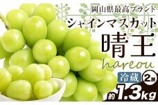 ぶどう [2025年先行予約] シャインマスカット 晴王 約1.3kg (2房)《2025年9月中旬-11月上旬頃出荷》ハレノスイーツ 岡山中央卸売市場店 マスカット 送料無料 岡山県 浅口市 フルーツ 果物 贈り物 ギフト 国産 【配送不可地域あり】 st-p