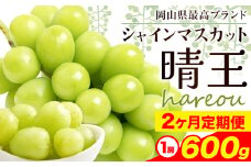 【先行予約】シャインマスカット 晴王 岡山県産 定期便 2ヶ月 9月・10月発送 [2025年先行予約]《9月中旬-10月末頃出荷(土日祝除く)》1房 600g ハレノスイーツ 岡山中央卸売市場店 岡山県 浅口市 【配送不可地域あり】