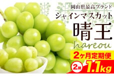 【先行予約】シャインマスカット 晴王 岡山県産 定期便 2ヶ月 9月・10月発送 [2025年先行予約]《9月中旬-10月末頃出荷(土日祝除く)》2房 1.1kg ハレノスイーツ 岡山中央卸売市場店 岡山県 浅口市 【配送不可地域あり】