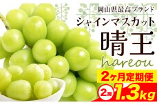 【先行予約】シャインマスカット 晴王 岡山県産 定期便 2ヶ月 9月・10月発送 [2025年先行予約]《9月中旬-10月末頃出荷(土日祝除く)》2房 1.3kg ハレノスイーツ 岡山中央卸売市場店 岡山県 浅口市 【配送不可地域あり】