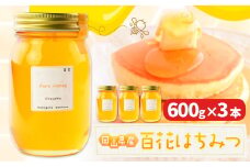 はちみつ 蜂蜜 百花 600g 3本 かもがた養蜂 《30日以内に出荷予定(土日祝除く)》 岡山県 浅口市 送料無料 ハチミツ 百花蜜 百花はちみつ 岡山県産