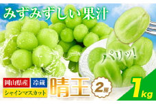 シャインマスカット 岡山県産 シャインマスカット 晴王 2房 約1kg《9月上旬-10月末頃出荷》 ハレノフルーツ マスカット 送料無料 岡山県 浅口市 フルーツ 果物 贈り物 ギフト 国産 岡山県産 くだもの 青果物【配送不可地域あり】