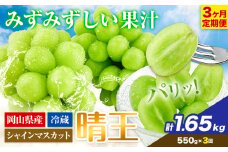 シャインマスカット 3ヶ月 定期便【2025年先行予約】シャインマスカット 晴王 約550g 岡山県産《9月上旬-11月末頃出荷(土日祝除く)》 ハレノフルーツ マスカット 送料無料 岡山県 浅口市 フルーツ 果物 贈り物 ギフト 国産 岡山県産 くだもの【配送不可地域あり】 st-p