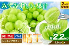 シャインマスカット 岡山県産 2ヶ月 定期便【2025年先行予】シャインマスカット 晴王 約1.1kg《9月上旬-10月末頃出荷(土日祝除く)》 ハレノフルーツ マスカット 送料無料 岡山県 浅口市 フルーツ 果物 贈り物 ギフト 国産 岡山県産 くだもの【配送不可地域あり】 st-p