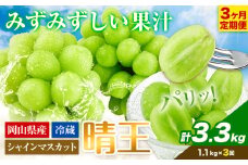 シャインマスカット 3ヶ月 定期便【2025年先行予約】 シャインマスカット 晴王 約1.1kg 岡山県産《9月上旬-11月末頃出荷(土日祝除く)》 ハレノフルーツ マスカット 送料無料 岡山県 浅口市 フルーツ 果物 贈り物 ギフト 国産 岡山県産 くだもの【配送不可地域あり】 st-p