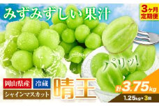 シャインマスカット 3ヶ月 定期便【2025年先行予約】 シャインマスカット 晴王 約1.25kg 岡山県産《9月上旬-11月末頃出荷(土日祝除く)》 ハレノフルーツ マスカット 送料無料 岡山県 浅口市 フルーツ 果物 贈り物 ギフト 国産 岡山県産 くだもの【配送不可地域あり】 st-p