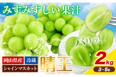 ぶどう【2025年先行予約】シャインマスカット 晴王 約2kg 3房-5房 岡山県産《9月上旬-11月中旬頃出荷(土日祝除く)》 ハレノフルーツ マスカット 送料無料 岡山県 浅口市 フルーツ 果物 贈り物 ギフト 国産 岡山県産【配送不可地域あり】