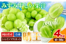 ぶどう シャインマスカット 晴王 約4kg 6房 ~10房 岡山県産《2025年9月上旬-10月末頃出荷》 ハレノフルーツ マスカット 送料無料 岡山県 浅口市 フルーツ 果物 贈り物 ギフト 国産 岡山県産【配送不可地域あり】