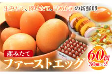 卵 たまご 赤玉 ファーストエッグ 60個《90日以内に出荷予定(土日祝除く)》株式会社めぐみ 岡山県 浅口市 送料無料 30個 × 2セット 食卓 産みたて 初卵 希少