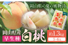 【令和7年度先行予約】岡山県産 白桃 （早生種） 約1.3kg （5～6玉） クール便 晴れの国 おかやま館(漂流岡山) 《2025年7月上旬-8月中旬頃出荷》岡山県 浅口市 白桃 桃【配送不可地域あり】(離島) st-p
