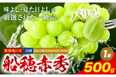最高級 シャインマスカット【2025年先行予約】ぶどう 船穂赤秀 1房 500g 岡山県産《9月上旬-11月中旬頃出荷(土日祝除く)》 ハレノフルーツ マスカット 送料無料 岡山県 浅口市 フルーツ 果物 贈り物 ギフト 国産 岡山県産【配送不可地域あり】