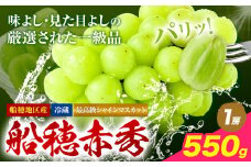 最高級 シャインマスカット【2025年先行予約】ぶどう 船穂赤秀 1房 550g 岡山県産《9月上旬-11月中旬頃出荷(土日祝除く)》 ハレノフルーツ マスカット 送料無料 岡山県 浅口市 フルーツ 果物 贈り物 ギフト 国産 岡山県産【配送不可地域あり】