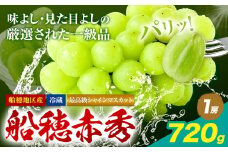 最高級 シャインマスカット【2025年先行予約】ぶどう 船穂赤秀 1房 720g 岡山県産《9月上旬-11月中旬頃出荷(土日祝除く)》 ハレノフルーツ マスカット 送料無料 岡山県 浅口市 フルーツ 果物 贈り物 ギフト 国産 岡山県産【配送不可地域あり】