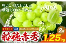 最高級 シャインマスカット【2025年先行予約】ぶどう 船穂赤秀 2房 1.25kg 岡山県産《9月上旬-11月中旬頃出荷(土日祝除く)》 ハレノフルーツ マスカット 送料無料 岡山県 浅口市 フルーツ 果物 贈り物 ギフト 国産 岡山県産【配送不可地域あり】