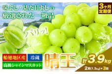 高級 シャインマスカット 3ヶ月定期便 【2025年先行予約】ぶどう 晴王 (2房1.3kg×3ヶ月計3.9kg) 岡山県産 《9月上旬-11月末頃出荷(土日祝除く)》 ハレノフルーツ マスカット 送料無料 岡山県 浅口市 フルーツ 果物 贈り物 ギフト 国産 岡山県産【配送不可地域あり】 st-p