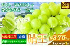高級 シャインマスカット 3ヶ月 定期便【2025年先行予約】 ぶどう 晴王 (2房1.25kg×3ヶ月計3.75kg) 岡山県産 《9月上旬-11月末頃出荷(土日祝除く)》 ハレノフルーツ マスカット 送料無料 岡山県 浅口市 フルーツ 果物 贈り物 ギフト 国産 岡山県産【配送不可地域あり】 st-p