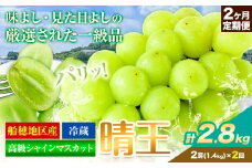 高級 シャインマスカット 2ヶ月 定期便【2025年先行予約】ぶどう 晴王  岡山県産(2房 1.4kg×2ヶ月計2.8kg)《9月上旬-10月末頃出荷(土日祝除く)》 ハレノフルーツ マスカット 送料無料 岡山県 浅口市 フルーツ 果物 贈り物 ギフト 国産 岡山県産【配送不可地域あり】 st-p