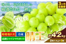 高級 シャインマスカット 3ヶ月定期便【2025年先行予約】ぶどう 晴王 (2房1.4kg×3ヶ月計4.2kg) 岡山県産 《9月上旬-11月末頃出荷(土日祝除く)》 ハレノフルーツ マスカット 送料無料 岡山県 浅口市 フルーツ 果物 贈り物 ギフト 国産 岡山県産【配送不可地域あり】 st-p