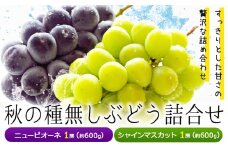 【2025年先行予約】秋の種無しぶどう詰合せ ニューピオーネ シャインマスカット 1房約600g 環山堂株式会社《2025年9月上旬-10月中旬頃より発送予定》岡山県 浅口市 ニューピオーネ シャインマスカット ぶどう マスカット果物 フルーツ 送料無料