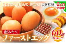 卵 たまご 6ヶ月 定期便 赤玉 ファーストエッグ 60個《お申込み月翌月から出荷予定(土日祝除く)》株式会社めぐみ 岡山県 浅口市 送料無料 30個 × 2セット 食卓 産みたて 初卵 希少