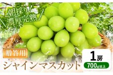 贈答クラス シャインマスカット 1房 (700g以上) OEC KINGDOMぶどう家 《8月下旬-10月中旬頃出荷》岡山県 浅口市 ぶどう 果物 贈答用【配送不可地域あり】（離島）
