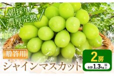 贈答クラス シャインマスカット 2房 (合計1.3kg以上) OEC KINGDOMぶどう家 《8月下旬-10月中旬頃出荷》岡山県 浅口市 ぶどう 果物 贈答用【配送不可地域あり】（離島）