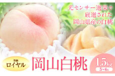 桃 もも【2025年出荷先行予約】岡山の白桃 等級 ロイヤル 約1.5kg(5～6玉) 清水白桃 おかやま夢白桃 白鳳 白麗 なつおとめ 晴れの国 岡山農業協同組合 鴨方支店 《2025年7月上旬-8月下旬頃出荷》岡山県 浅口市 岡山県産 白桃 桃 もも 果物 フルーツ ギフト ご贈答 送料無料【配送不可地域あり】