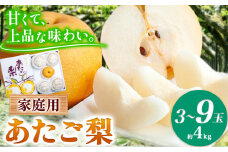 【先行予約】あたご梨 3～9玉 家庭用 約 4kg 箱 石原果樹園 《2025年11中下旬-2026年1月上旬頃より発送予定》岡山県 浅口市 梨 なし 果物 フルーツ くだもの あたご