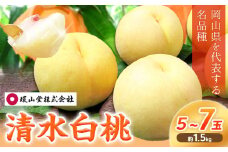 【2025年先行予約】桃 もも 清水白桃 5～7玉 約1.5kg 岡山県産 環山堂株式会社【配送不可地域あり】《2025年7月中旬-8月上旬頃出荷》岡山県 浅口市 白桃 果物 フルーツ 送料無料