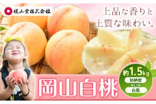 【2025年先行予約】桃 もも 岡山白桃 5～7玉 約1.5kg 加納岩もしくは白鳳 岡山県産 環山堂株式会社《2025年7月上旬-7月下旬頃出荷》岡山県 浅口市 白桃 果物 フルーツ 送料無料【配送不可地域あり】