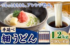 うどん 手延べ 細うどん 200g×6袋 1.2kg かも川手延素麺株式会社《30日以内に発送予定(土日祝除く)》岡山県 浅口市 紙箱入 お土産 送料無料 麺 小麦 粉もの 細うどん 丸麺