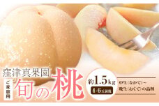 【先行予約】ご家庭用 旬の桃 (なかて~おくての品種) 約1.5kg (4~6玉) 窪津真果園【配送不可地域あり】《7月中旬-8月末旬頃出荷》岡山県 浅口市 フルーツ モモ 果物 青果 旬 白桃 国産 岡山県産