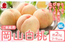 桃　もも【2025年先行予約】ご家庭用 岡山白桃 約2kg (7~9玉前後) 赤木農園 《2025年7月上旬-8月中旬頃出荷》 岡山県 浅口市 フルーツ モモ 果物 青果 旬 白桃 桃 【配送不可地域あり】