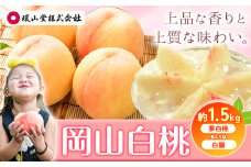 【2025年先行予約】桃 もも 岡山白桃 5～7玉 約1.5kg 夢白桃もしくは白麗 岡山県産 環山堂株式会社《2025年7月下旬-8月中旬頃出荷》岡山県 浅口市 白桃 果物 フルーツ 送料無料【配送不可地域あり】