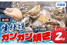 殻付き生牡蠣 ガンガン焼きL2kgセット(牡蠣ナイフ付き)加熱用 寄島町漁業協同組合《2025年2月上旬-4月中旬頃出荷》岡山県 浅口市 牡蠣 かき ガンガン焼き 海鮮 冷蔵 送料無料【配送不可地域あり】