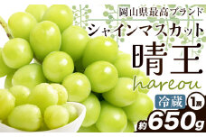 ぶどう [2025年先行予約] シャインマスカット 晴王 1房約650g《2025年9月中旬-11月上旬頃出荷》ハレノスイーツ 岡山中央卸売市場店 マスカット 送料無料 岡山県 浅口市 フルーツ 果物 贈り物 ギフト 国産 【配送不可地域あり】 st-p