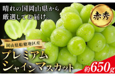 ぶどう プレミアム シャインマスカット 船穂 赤秀品 晴王 1房約650g《2025年9月中旬-11月上旬頃より出荷予定(土日祝除く)》ハレノスイーツ 岡山中央卸売市場店 マスカット 送料無料 岡山県 浅口市 フルーツ 果物 贈り物 ギフト 国産 【配送不可地域あり】