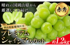 ぶどう プレミアム シャインマスカット 船穂 赤秀品 晴王 2房約1.2kg《2025年9月中旬-11月上旬頃より出荷予定(土日祝除く)》ハレノスイーツ 岡山中央卸売市場店 マスカット 送料無料 岡山県 浅口市 フルーツ 果物 贈り物 ギフト 国産 【配送不可地域あり】