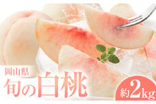 岡山県の旬の白桃 約2kg花田青果株式会社《6月下旬-9月上旬頃出荷予定(土日祝除く)》岡山県 浅口市 白桃 桃 もも 旬 フルーツ 果物 【配送不可地域あり】 